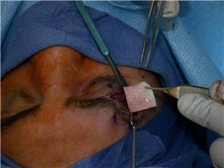 Dr. Frank Stile
